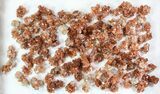 Lot: Small Twinned Aragonite Crystals - Pieces #78107-2
